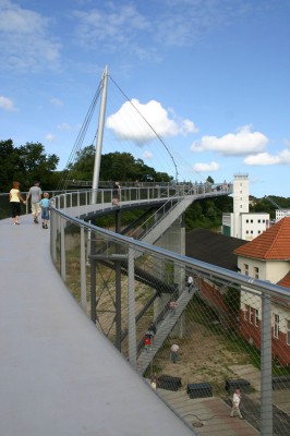Die Hängebrücke in Sassnitz