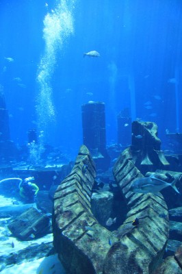 Unterwasserwelt von Atlantis