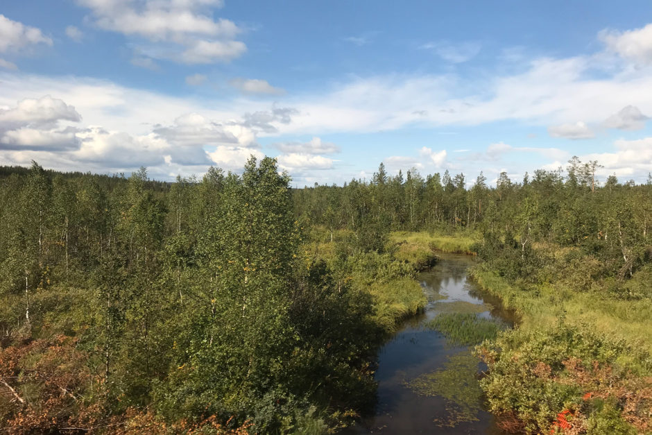 Ab und zu überquerten wir auch mal kleinere Flüsse, aber deutlich weniger Gewässer als noch in Finnland.