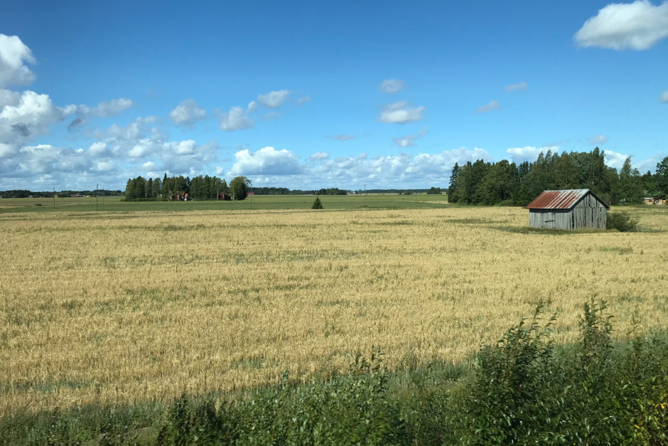 Die südschwedische Landschaft in Finnland... ;-)